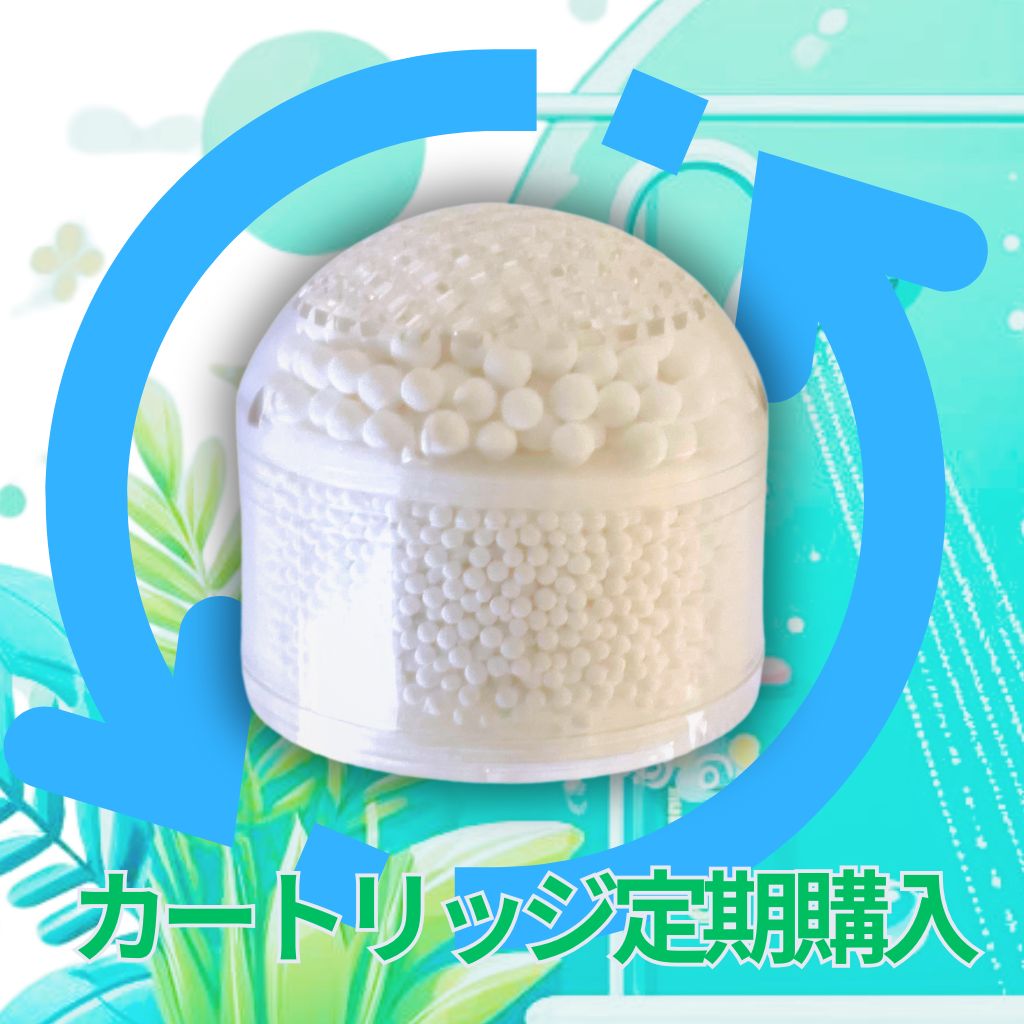 イオンシャワーeco カートリッジ定期配送